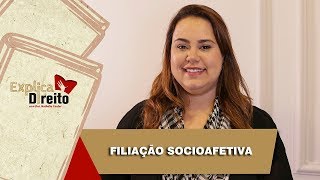 Explica Direito Filiação Socioafetiva  2019 [upl. by Rednasyl100]