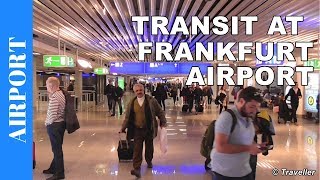 TRANSIT WALK AT FRANKFURT Airport FRA Terminal 1  Connection Flight Transfer Arriving amp Departing [upl. by Goat]